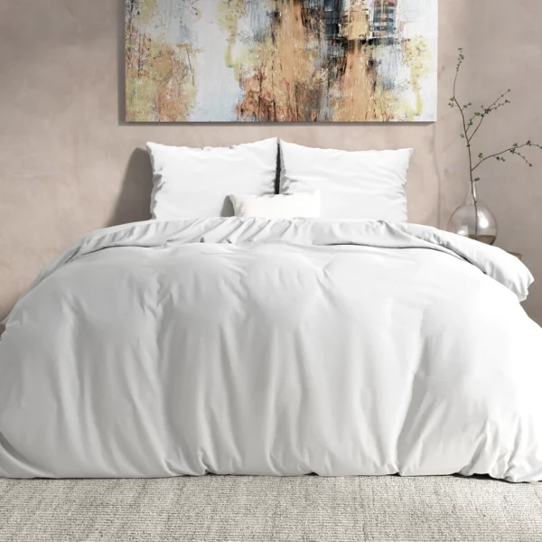 Dreamhouse flanellist komplekt Mendez – valge, 200 × 200/220 cm